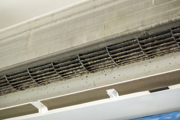 Best Air Duct Cleaning Near Me  in Bradford Woods, PA